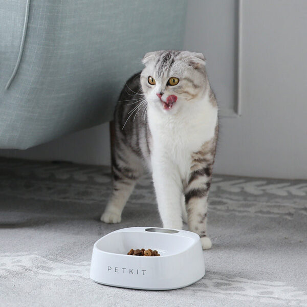 Pet smartbowl