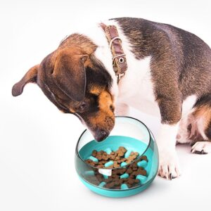 Slow Down Eating Feeding Bowl
