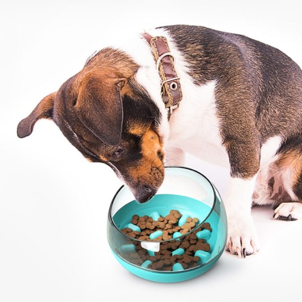 Slow Down Eating Feeding Bowl