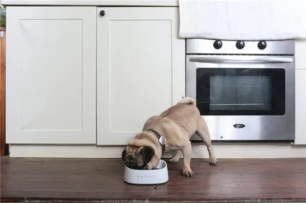 Pet smartbowl