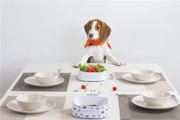 Pet smartbowl