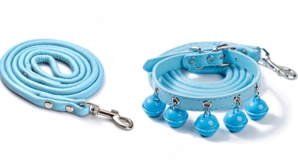 Color Bell Cat Collar & Leash