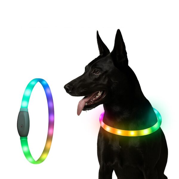 GlowBright LED Dog Collar