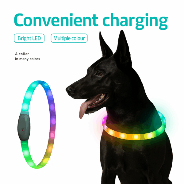 Luminous Pet Collar