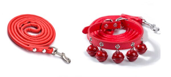 Color Bell Cat Collar & Leash